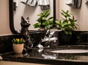 a bathroom with a sink and a mirror and plants